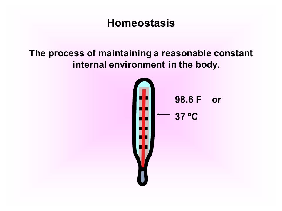 Homeostasis The process of maintaining a reasonable constant internal environment in the body.