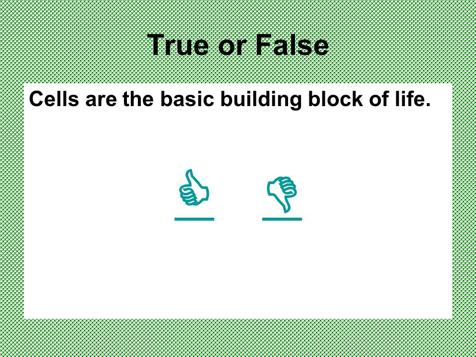 What Do You Know About Cells What Is A Cell A Something Yummy To Eat Something Yummy To Eat B Something We Can See In The Air Something We Can See Ppt Download