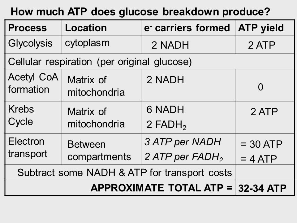 how many atps are produced total in cellular respiration