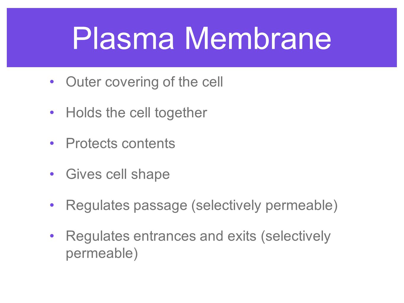 Plasma Membrane Outer covering of the cell Holds the cell together Protects contents Gives cell shape Regulates passage (selectively permeable) Regulates entrances and exits (selectively permeable)