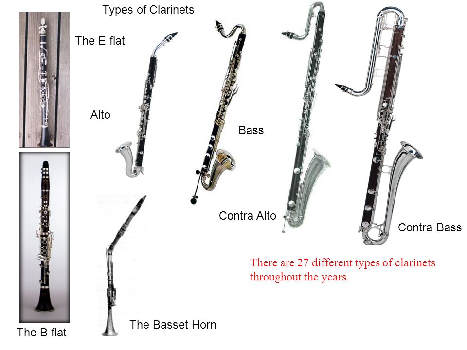 Types of Clarinets The E flat The B flat Alto Bass Contra Alto Contra Bass There are 27 different types of clarinets throughout the years.