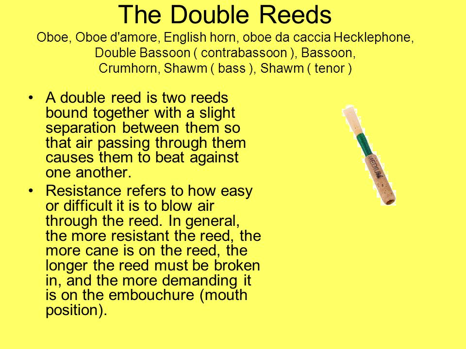 The Double Reeds Oboe, Oboe d amore, English horn, oboe da caccia Hecklephone, Double Bassoon ( contrabassoon ), Bassoon, Crumhorn, Shawm ( bass ), Shawm ( tenor ) A double reed is two reeds bound together with a slight separation between them so that air passing through them causes them to beat against one another.
