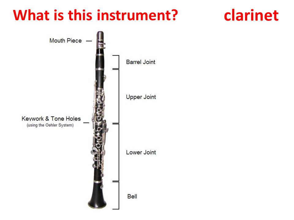 Каким инструментам относится кларнет. Строение кларнета схема. Кларнет французской системы чертеж. Детали кларнета. Составные части кларнета.