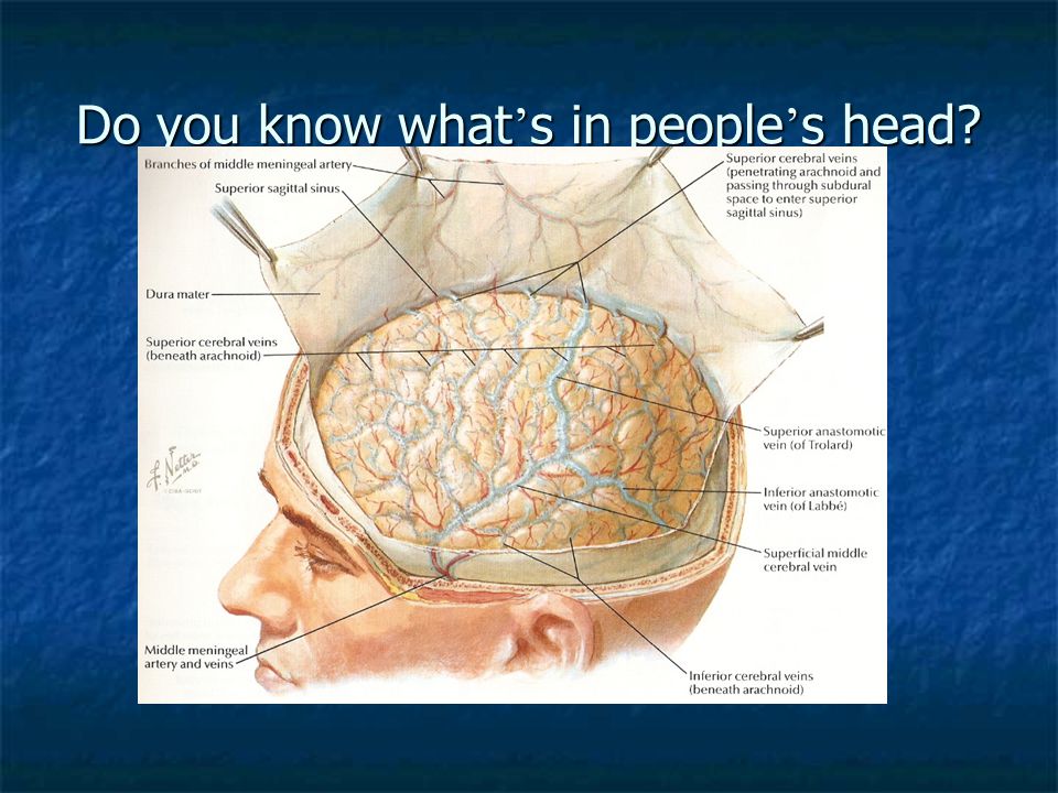 Do you know what ’ s in people ’ s head