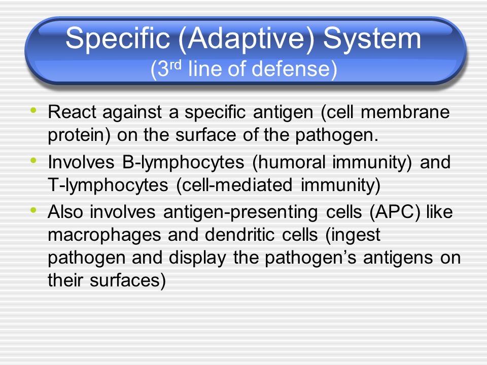 Specific (Adaptive) System (3 rd line of defense) React against a specific antigen (cell membrane protein) on the surface of the pathogen.