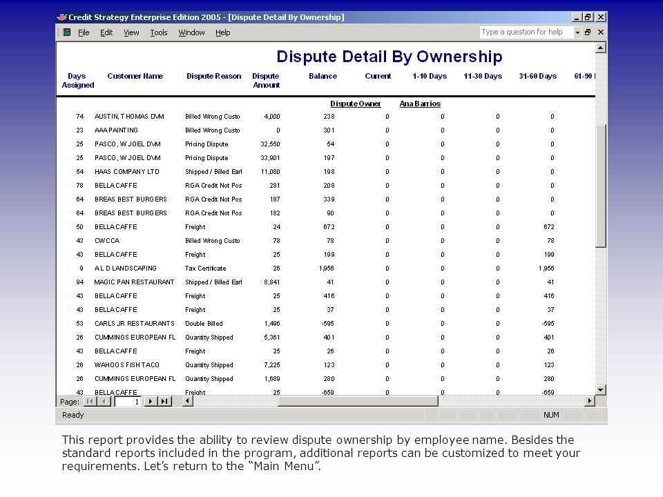 Let’s review the Dispute Detail By Ownership report by clicking on it.