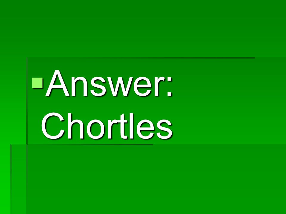  Answer: Chortles