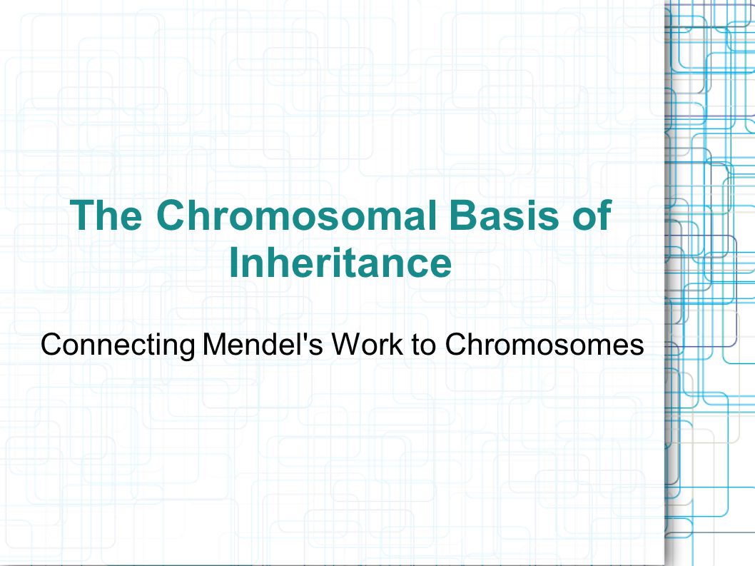 The Chromosomal Basis of Inheritance Connecting Mendel s Work to Chromosomes