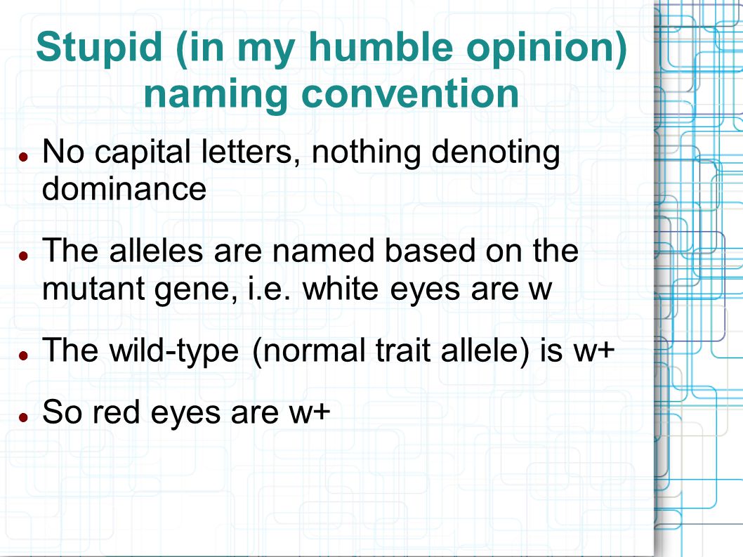 Stupid (in my humble opinion) naming convention No capital letters, nothing denoting dominance The alleles are named based on the mutant gene, i.e.