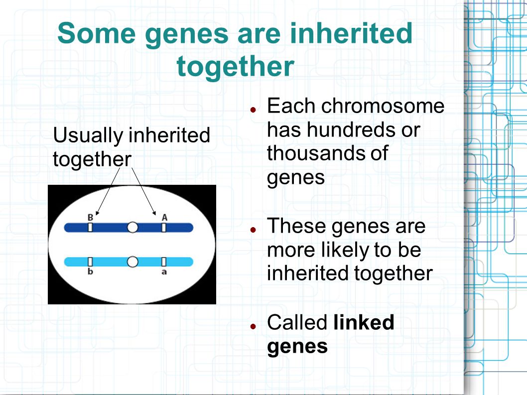 Some genes are inherited together Each chromosome has hundreds or thousands of genes These genes are more likely to be inherited together Called linked genes Usually inherited together