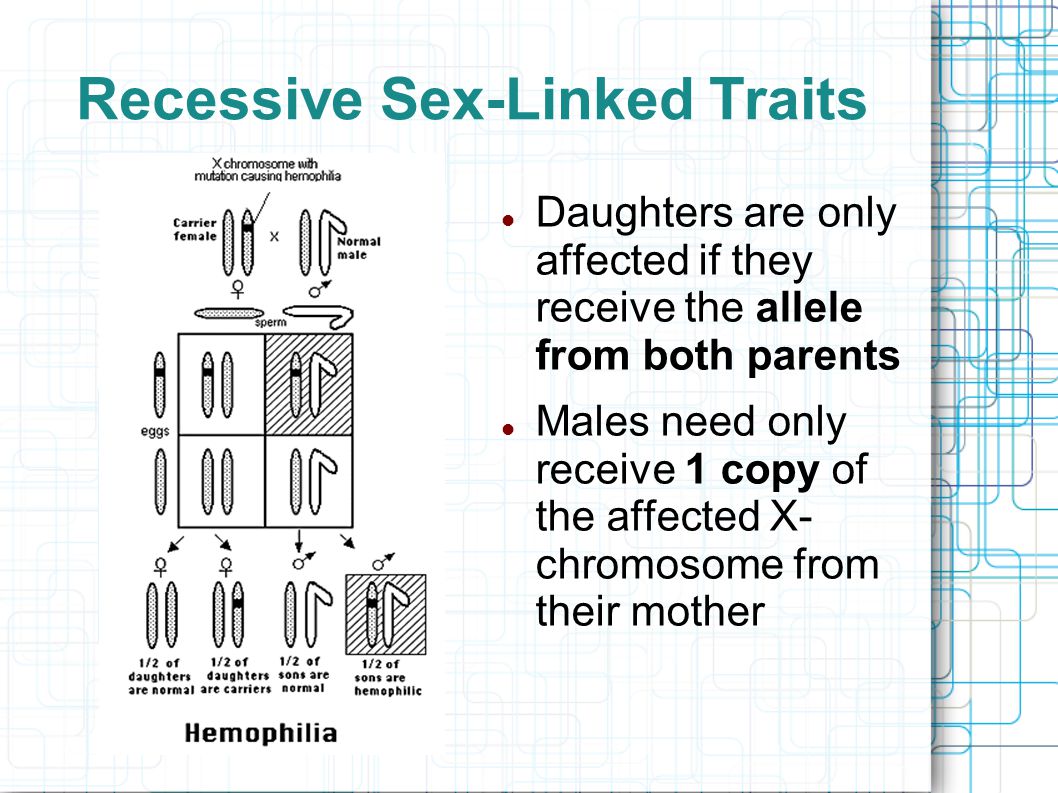 Recessive Sex-Linked Traits Daughters are only affected if they receive the allele from both parents Males need only receive 1 copy of the affected X- chromosome from their mother