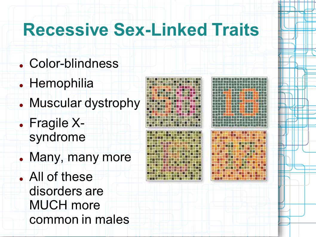 Recessive Sex-Linked Traits Color-blindness Hemophilia Muscular dystrophy Fragile X- syndrome Many, many more All of these disorders are MUCH more common in males