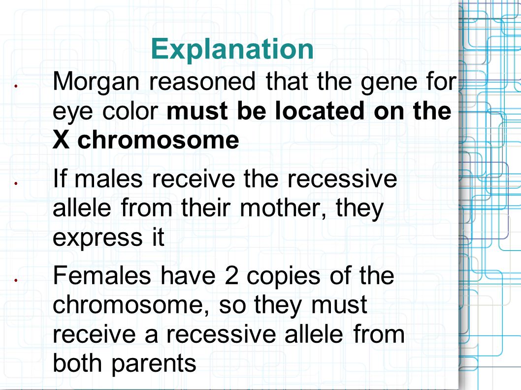 Explanation Morgan reasoned that the gene for eye color must be located on the X chromosome If males receive the recessive allele from their mother, they express it Females have 2 copies of the chromosome, so they must receive a recessive allele from both parents