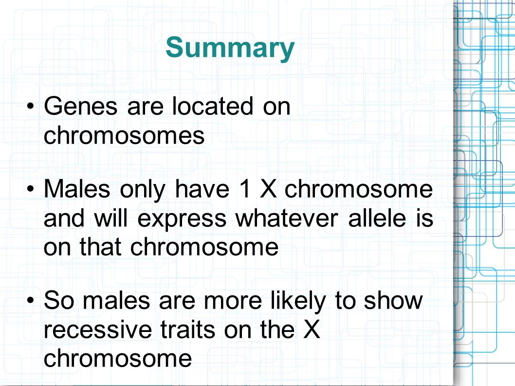 Summary Genes are located on chromosomes Males only have 1 X chromosome and will express whatever allele is on that chromosome So males are more likely to show recessive traits on the X chromosome