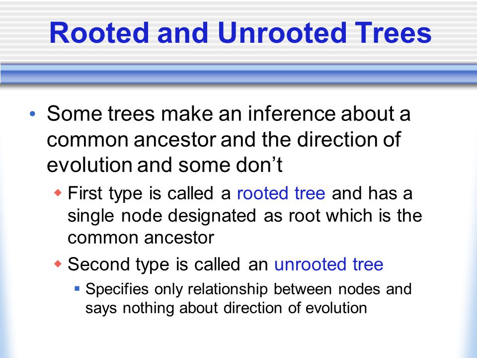 Rooted and Unrooted Trees Some trees make an inference about a common ancestor and the direction of evolution and some don’t  First type is called a rooted tree and has a single node designated as root which is the common ancestor  Second type is called an unrooted tree  Specifies only relationship between nodes and says nothing about direction of evolution