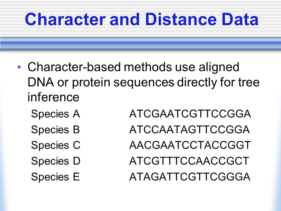 Character and Distance Data Character-based methods use aligned DNA or protein sequences directly for tree inference Species AATCGAATCGTTCCGGA Species BATCCAATAGTTCCGGA Species CAACGAATCCTACCGGT Species DATCGTTTCCAACCGCT Species EATAGATTCGTTCGGGA