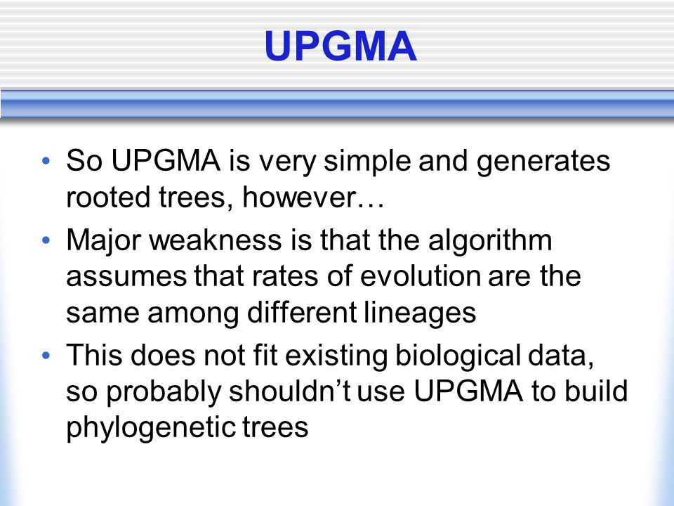 UPGMA So UPGMA is very simple and generates rooted trees, however… Major weakness is that the algorithm assumes that rates of evolution are the same among different lineages This does not fit existing biological data, so probably shouldn’t use UPGMA to build phylogenetic trees