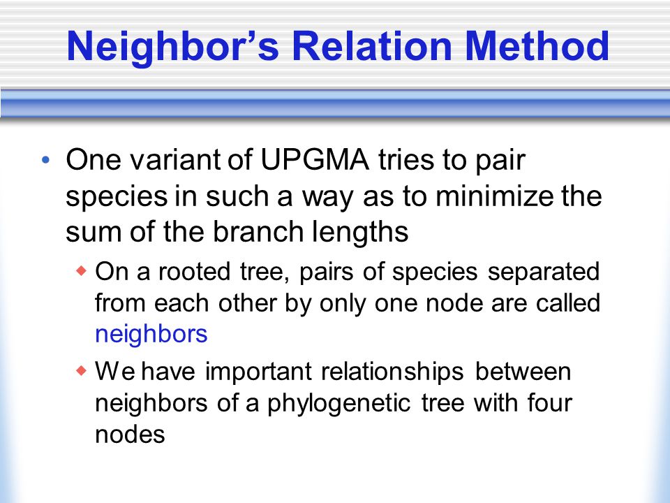 Neighbor’s Relation Method One variant of UPGMA tries to pair species in such a way as to minimize the sum of the branch lengths  On a rooted tree, pairs of species separated from each other by only one node are called neighbors  We have important relationships between neighbors of a phylogenetic tree with four nodes