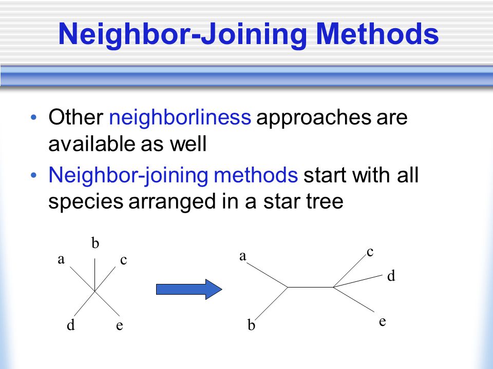 Neighbor-Joining Methods Other neighborliness approaches are available as well Neighbor-joining methods start with all species arranged in a star tree a b d c e a b c d e