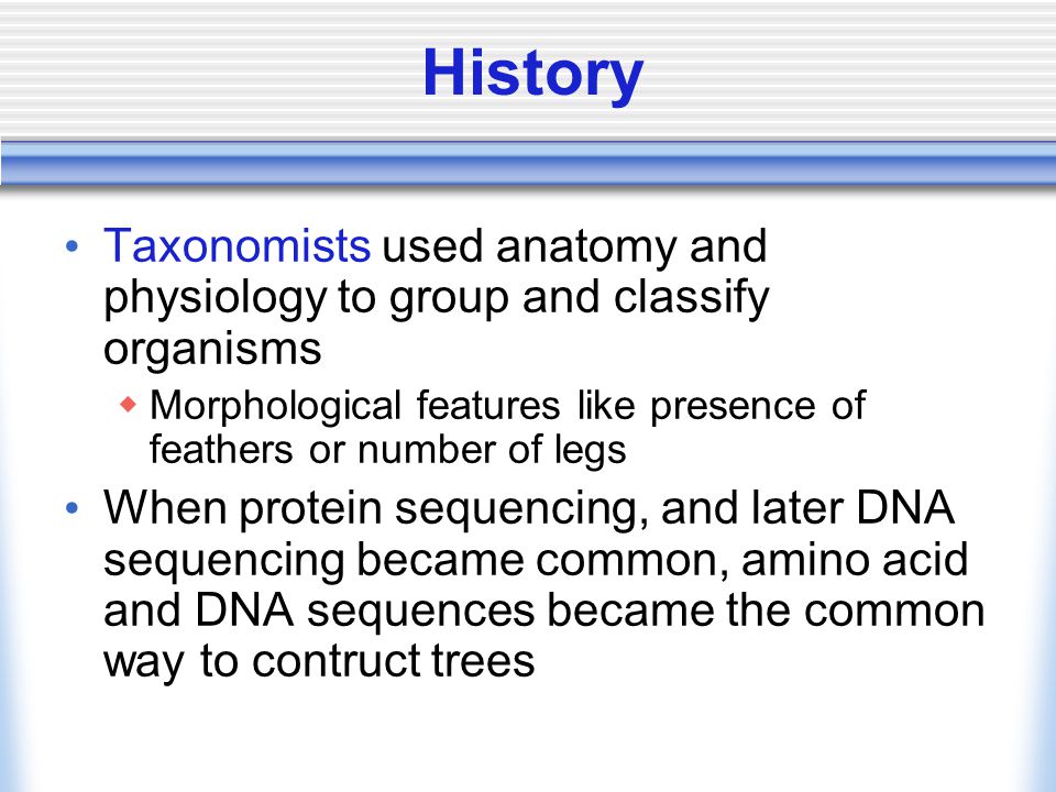 History Taxonomists used anatomy and physiology to group and classify organisms  Morphological features like presence of feathers or number of legs When protein sequencing, and later DNA sequencing became common, amino acid and DNA sequences became the common way to contruct trees