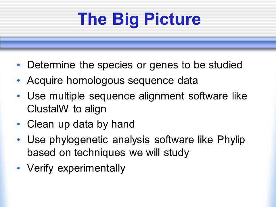 The Big Picture Determine the species or genes to be studied Acquire homologous sequence data Use multiple sequence alignment software like ClustalW to align Clean up data by hand Use phylogenetic analysis software like Phylip based on techniques we will study Verify experimentally