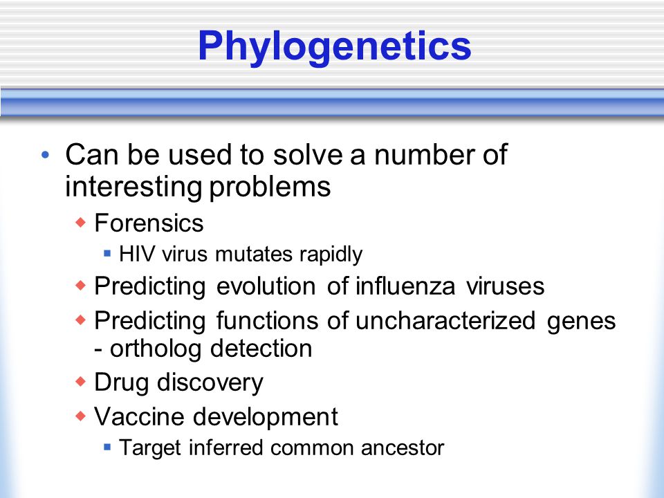 Phylogenetics Can be used to solve a number of interesting problems  Forensics  HIV virus mutates rapidly  Predicting evolution of influenza viruses  Predicting functions of uncharacterized genes - ortholog detection  Drug discovery  Vaccine development  Target inferred common ancestor