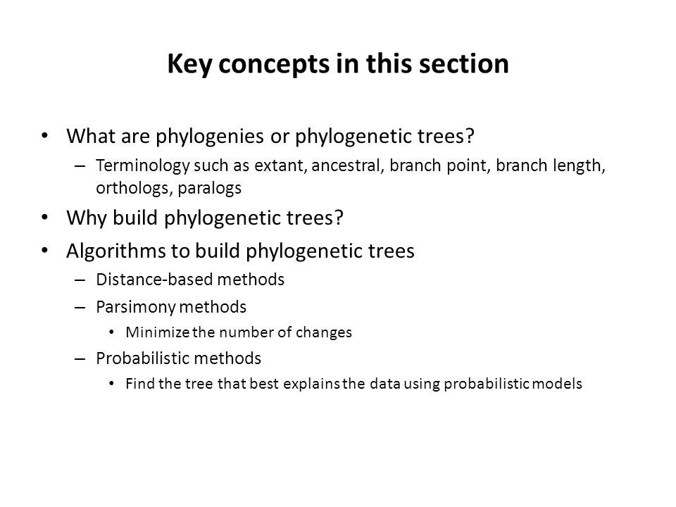 Key concepts in this section What are phylogenies or phylogenetic trees.