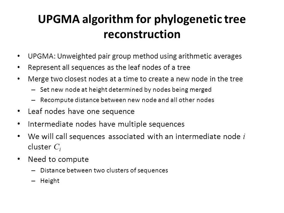 UPGMA algorithm for phylogenetic tree reconstruction UPGMA: Unweighted pair group method using arithmetic averages Represent all sequences as the leaf nodes of a tree Merge two closest nodes at a time to create a new node in the tree – Set new node at height determined by nodes being merged – Recompute distance between new node and all other nodes Leaf nodes have one sequence Intermediate nodes have multiple sequences We will call sequences associated with an intermediate node i cluster C i Need to compute – Distance between two clusters of sequences – Height