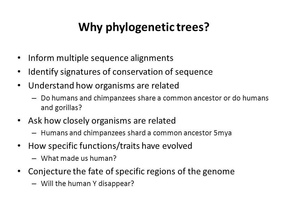 Why phylogenetic trees.