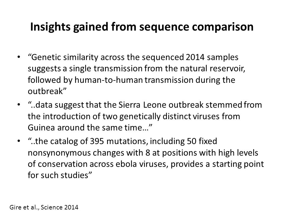 Insights gained from sequence comparison Genetic similarity across the sequenced 2014 samples suggests a single transmission from the natural reservoir, followed by human-to-human transmission during the outbreak ..data suggest that the Sierra Leone outbreak stemmed from the introduction of two genetically distinct viruses from Guinea around the same time… ..the catalog of 395 mutations, including 50 fixed nonsynonymous changes with 8 at positions with high levels of conservation across ebola viruses, provides a starting point for such studies Gire et al., Science 2014