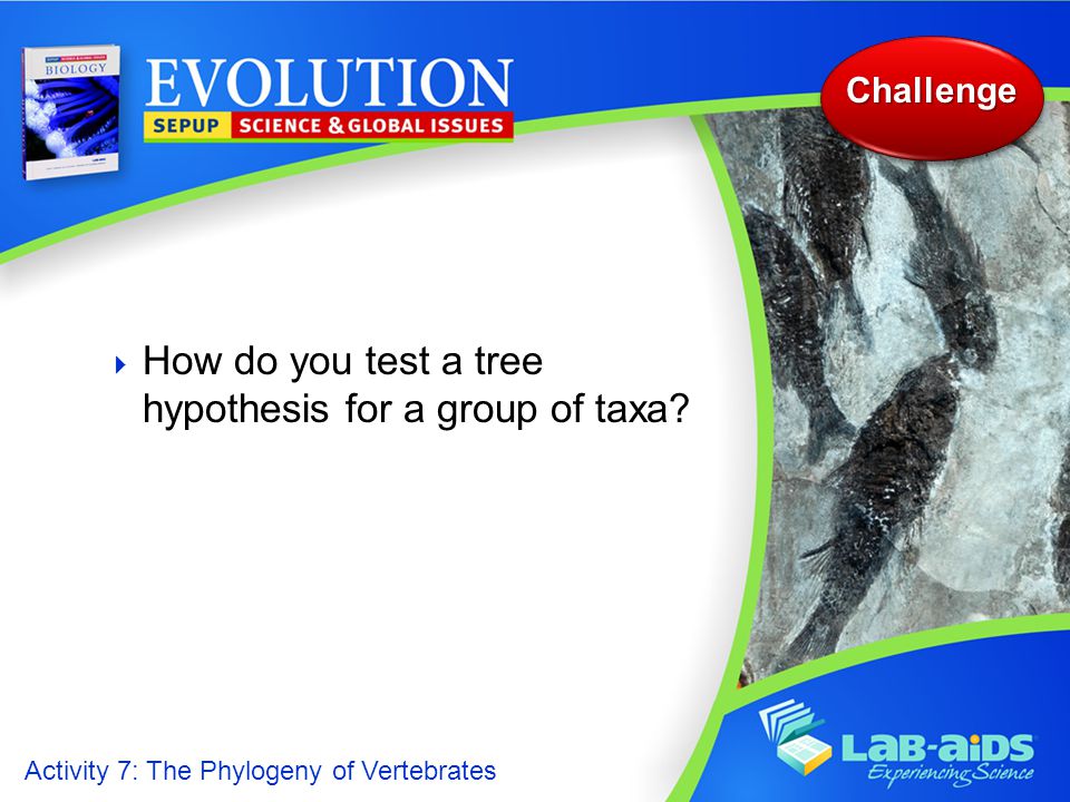 Activity 7: The Phylogeny of Vertebrates  How do you test a tree hypothesis for a group of taxa.