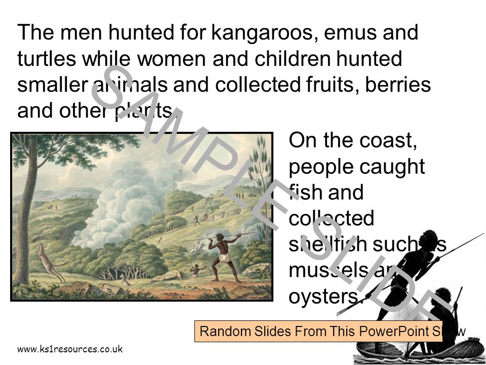 The men hunted for kangaroos, emus and turtles while women and children hunted smaller animals and collected fruits, berries and other plants.