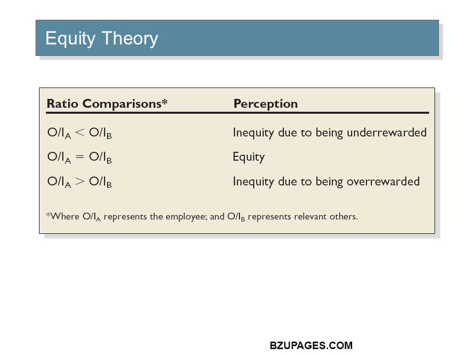BZUPAGES.COM Equity Theory