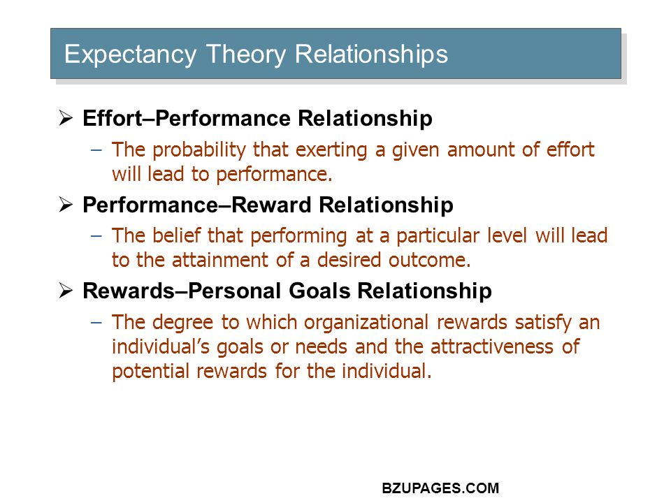 BZUPAGES.COM Expectancy Theory Relationships  Effort–Performance Relationship –The probability that exerting a given amount of effort will lead to performance.