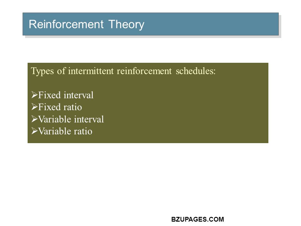 BZUPAGES.COM Reinforcement Theory Types of intermittent reinforcement schedules:  Fixed interval  Fixed ratio  Variable interval  Variable ratio