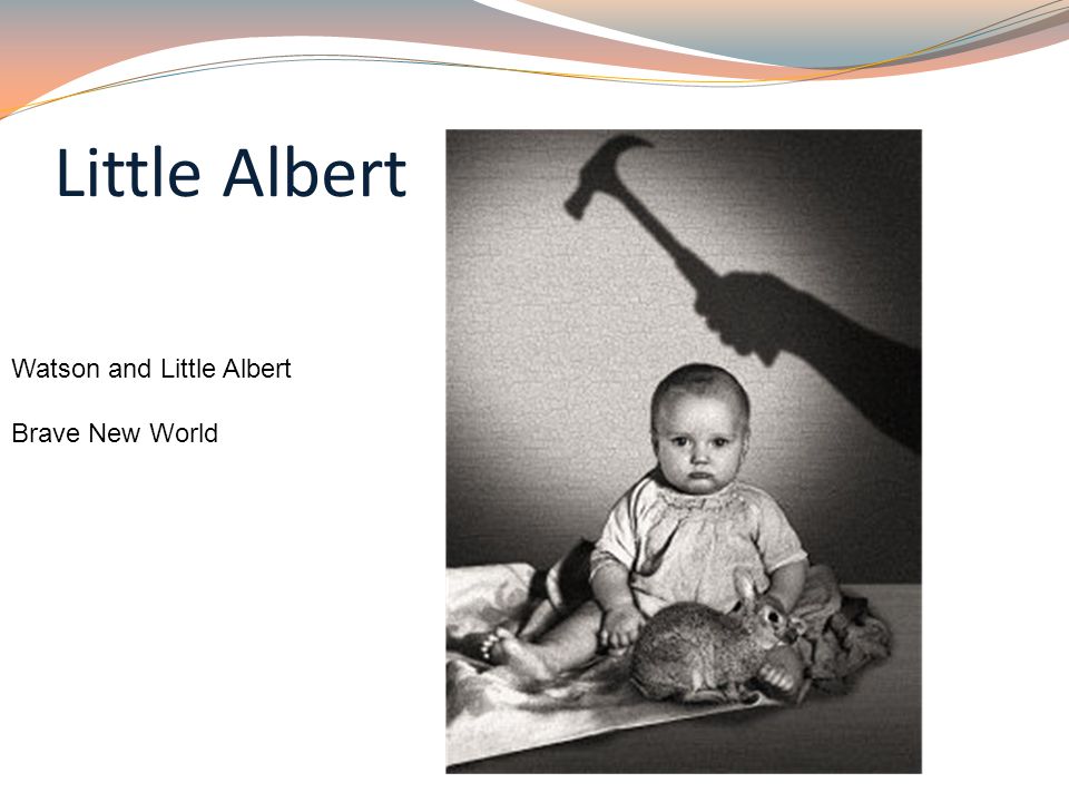 Little Albert Watson and Little Albert Brave New World