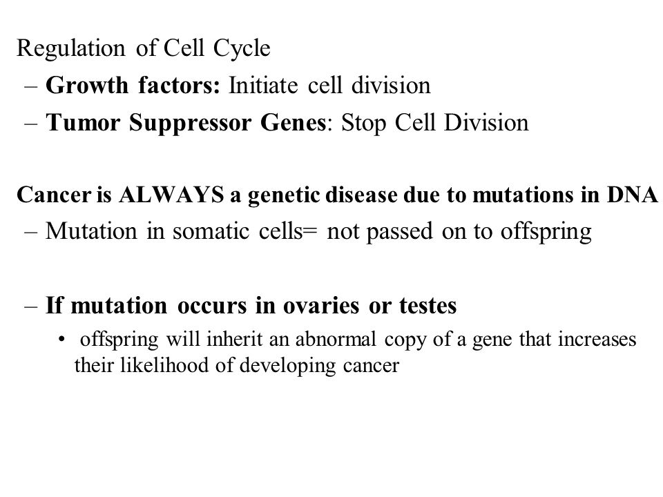 Regulation of Cell Cycle –Growth factors: Initiate cell division –Tumor Suppressor Genes: Stop Cell Division Cancer is ALWAYS a genetic disease due to mutations in DNA –Mutation in somatic cells= not passed on to offspring –If mutation occurs in ovaries or testes offspring will inherit an abnormal copy of a gene that increases their likelihood of developing cancer