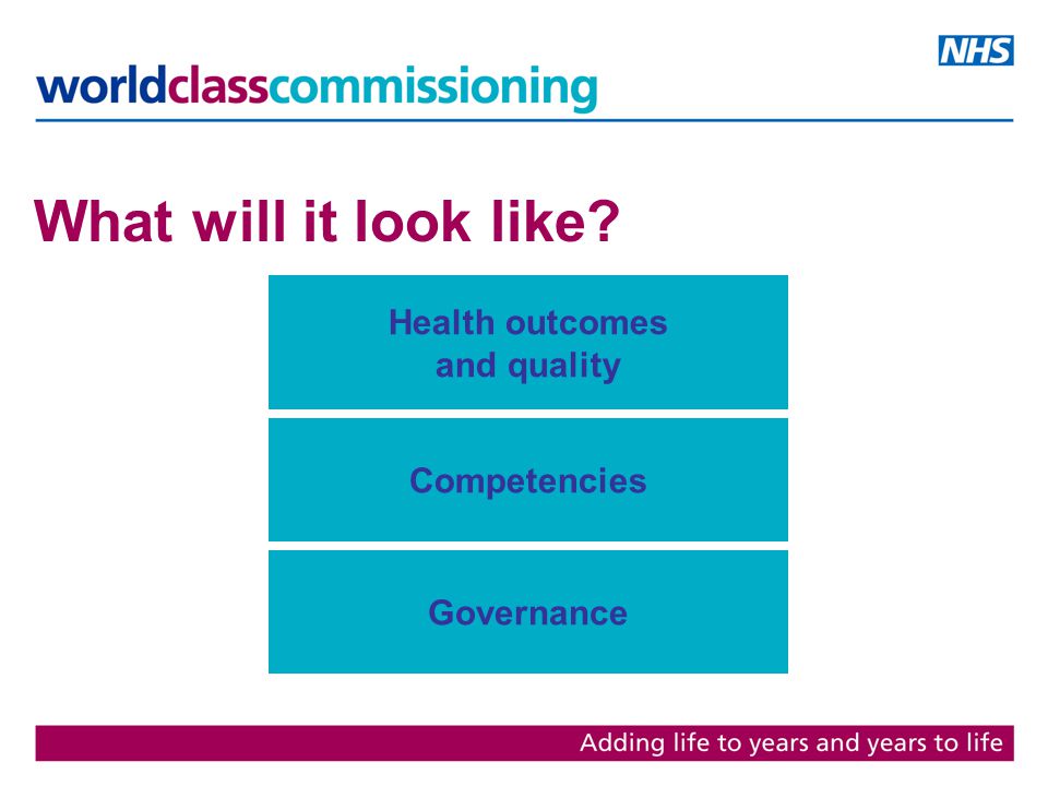 What will it look like Health outcomes and quality Competencies Governance
