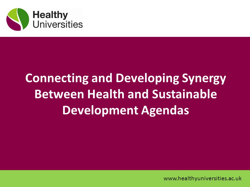 Connecting and Developing Synergy Between Health and Sustainable Development Agendas