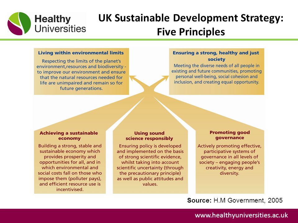 UK Sustainable Development Strategy: Five Principles   Source: H.M Government, 2005