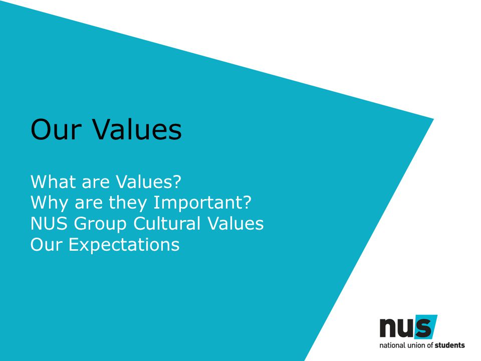 Our Values What are Values Why are they Important NUS Group Cultural Values Our Expectations