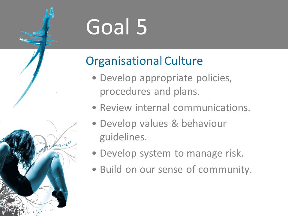 Goal 5 Organisational Culture Develop appropriate policies, procedures and plans.