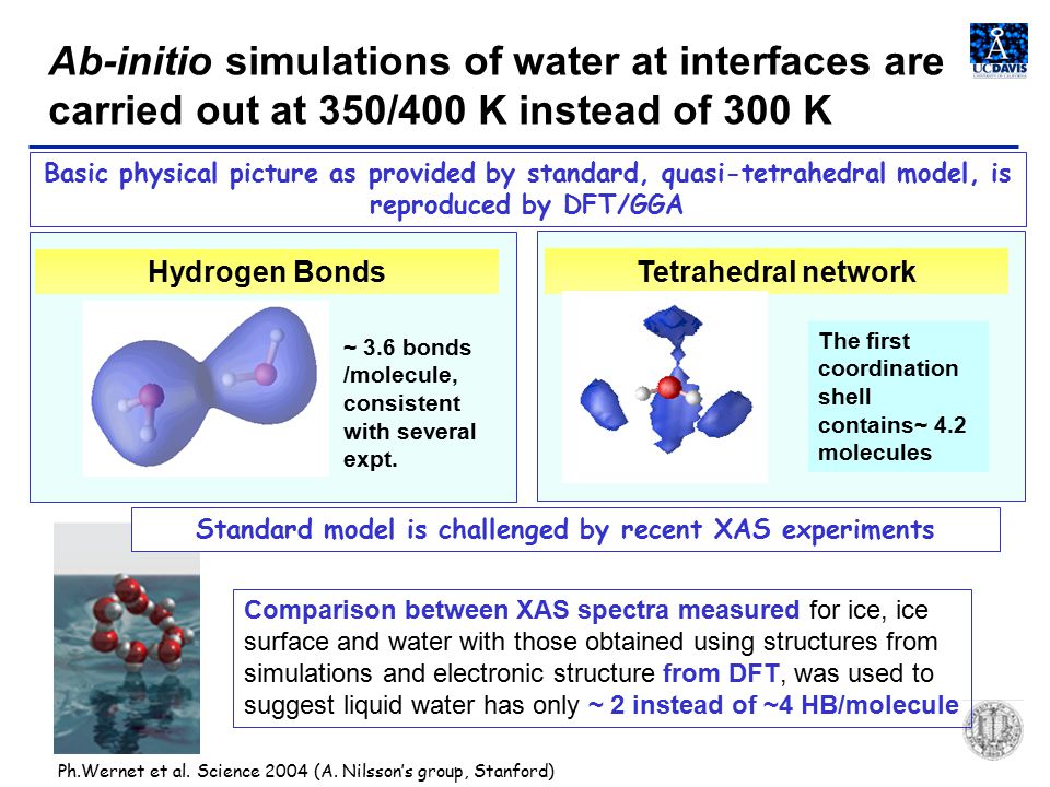 Hydrogen Bonds ~ 3.6 bonds /molecule, consistent with several expt.