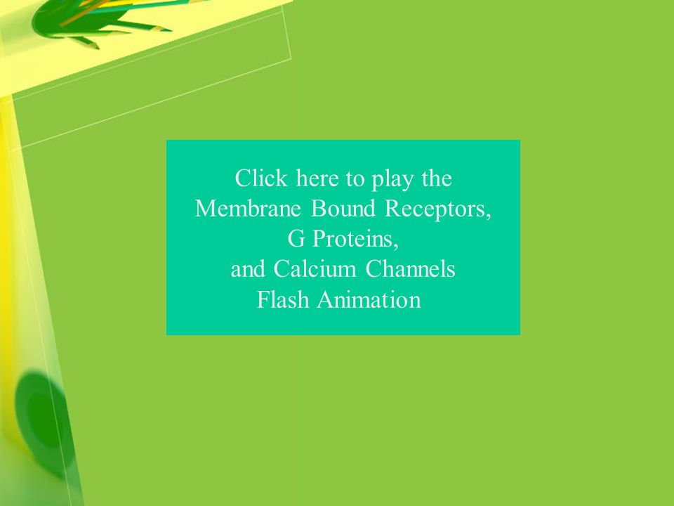 Click here to play the Membrane Bound Receptors, G Proteins, and Calcium Channels Flash Animation