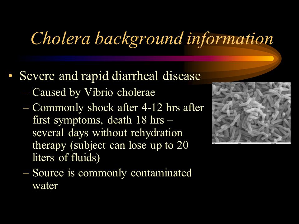 Cholera background information Severe and rapid diarrheal disease –Caused by Vibrio cholerae –Commonly shock after 4-12 hrs after first symptoms, death 18 hrs – several days without rehydration therapy (subject can lose up to 20 liters of fluids) –Source is commonly contaminated water