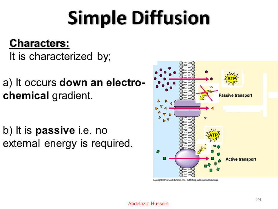 Simple DiffusionSimple Diffusion 24 Abdelaziz Hussein Characters: It is characterized by; a) It occurs down an electro- chemical gradient.