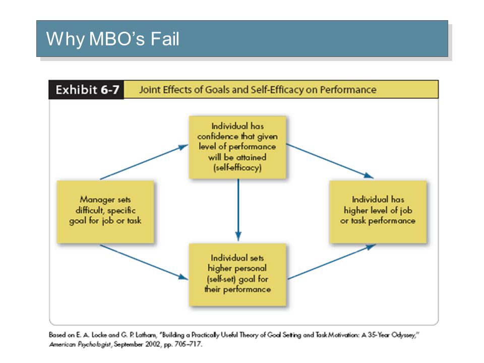 © 2005 Prentice Hall Inc. All rights reserved.6–15 Why MBO’s Fail