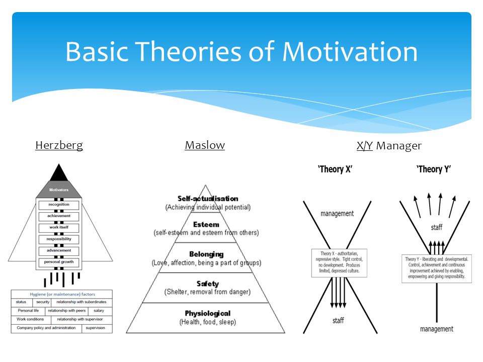 Basic Theories of Motivation HerzbergMaslow X/Y Manager