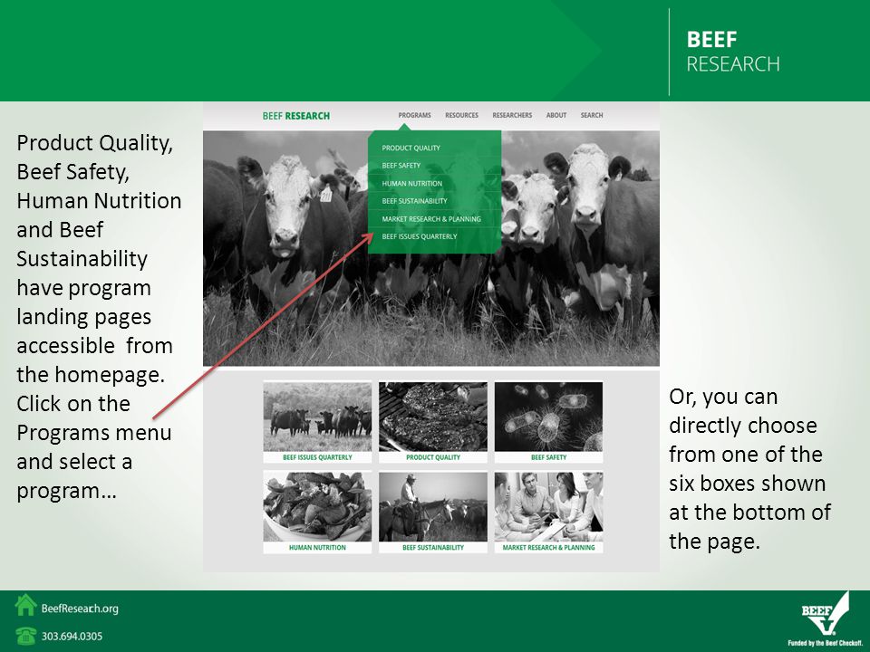 Product Quality, Beef Safety, Human Nutrition and Beef Sustainability have program landing pages accessible from the homepage.