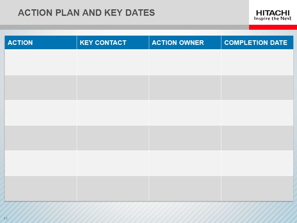 11 ACTION PLAN AND KEY DATES